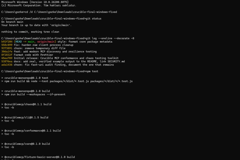 Crucible – screenshot 1