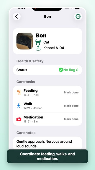 ShelterTurn – screenshot 3
