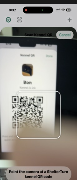 ShelterTurn – screenshot 5
