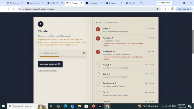 AI Passport Consent Audit – screenshot 3