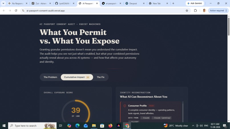 AI Passport Consent Audit – screenshot 2
