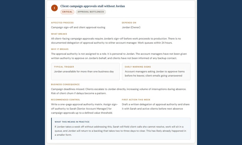ProcessLode Key Person Risk Diagnostic – screenshot 4