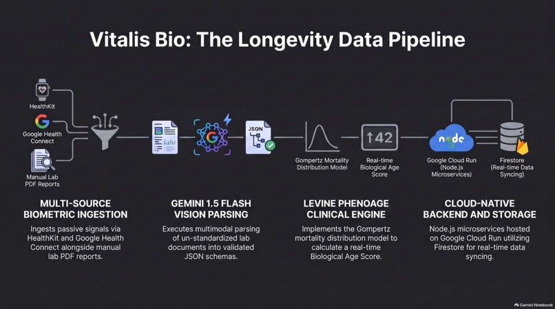 Vitalis Bio – screenshot 4