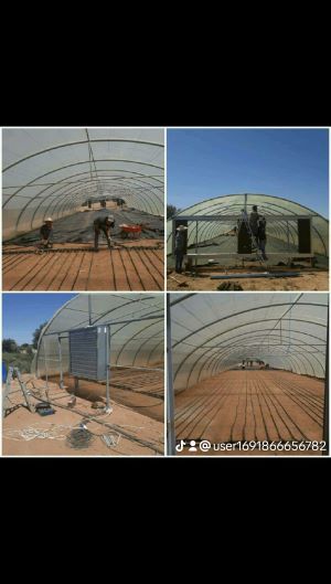 Lalla Horti – screenshot 1
