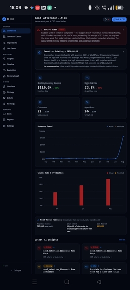 AI CEO Business Intelligence  – screenshot 13