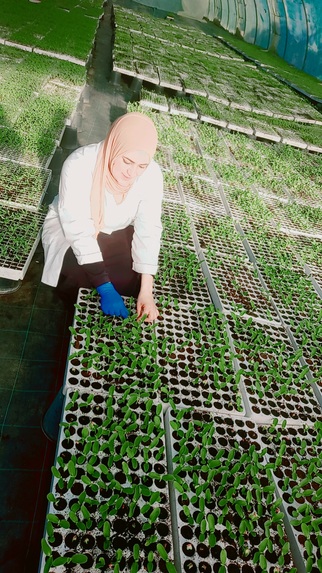 Lalla Horti – screenshot 13