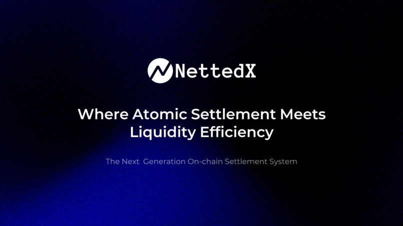NettedX – screenshot 1