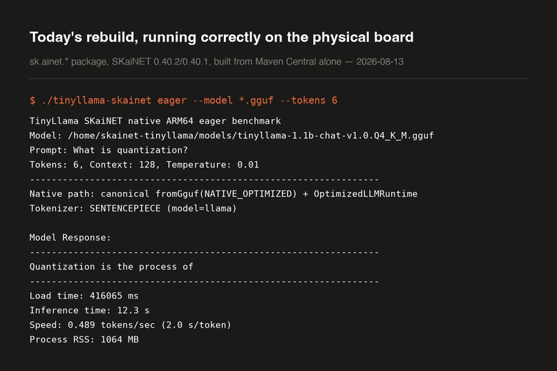 SKaiNET-native-kernels – screenshot 6