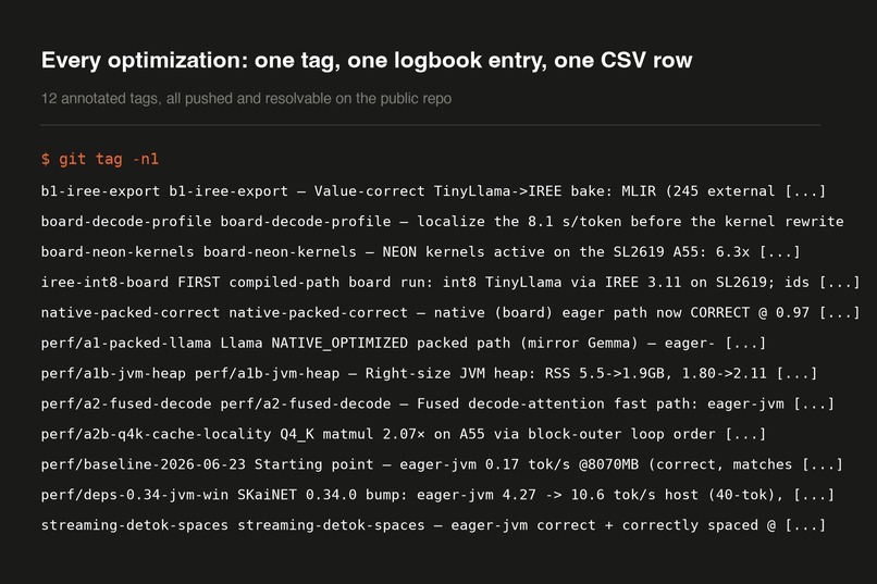 SKaiNET-native-kernels – screenshot 8