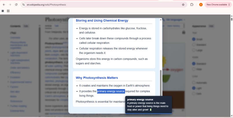 CogniEase - Cognitive Accessibility Layer – screenshot 3