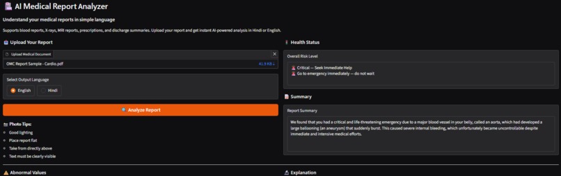 AI Medical Report Analyzer – screenshot 3