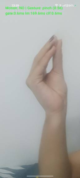 Hand gesture recognition – screenshot 1