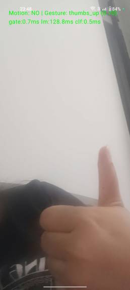 Hand gesture recognition – screenshot 2