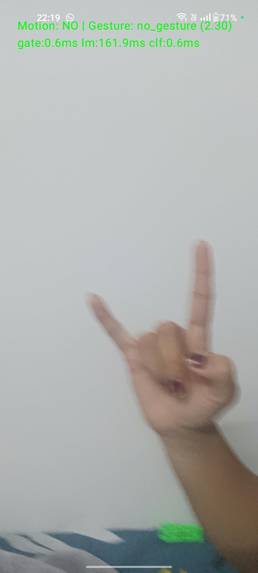 Hand gesture recognition – screenshot 3