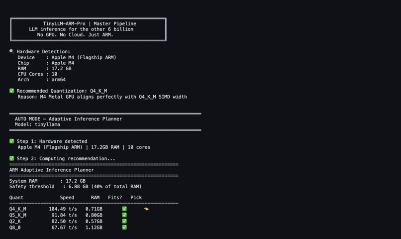 tinyllm-arm-pro – screenshot 2