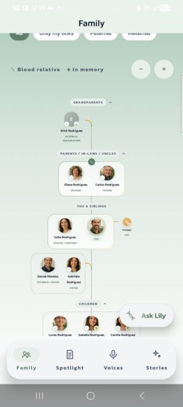 Kinlily – screenshot 2