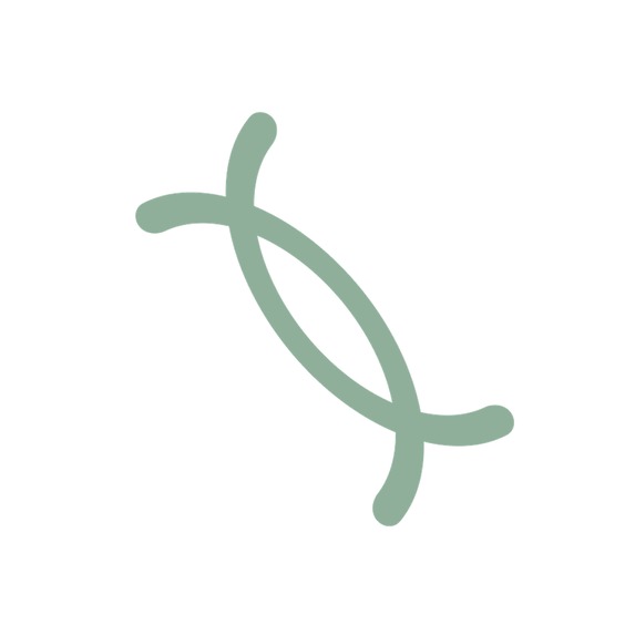 Kinlily – screenshot 8