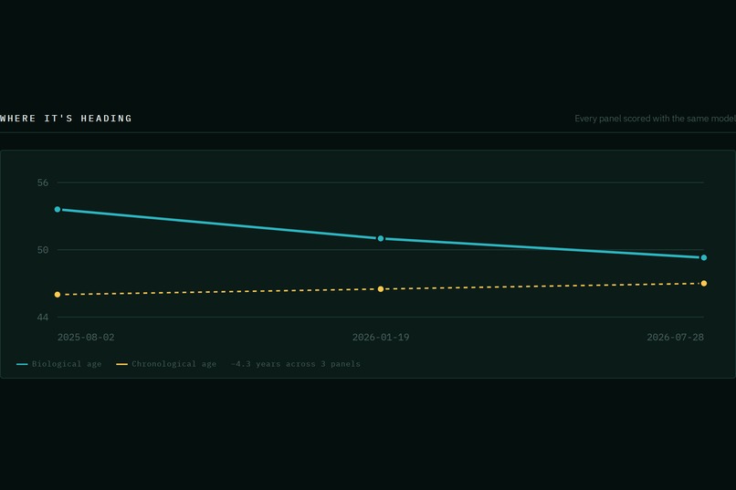 Vitalis Bio – screenshot 6