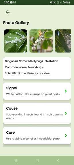 LeafyCare AI – screenshot 7
