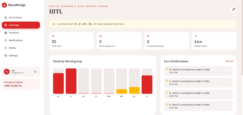 BloodBridge – screenshot 8