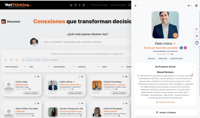 NetThinking – screenshot 1