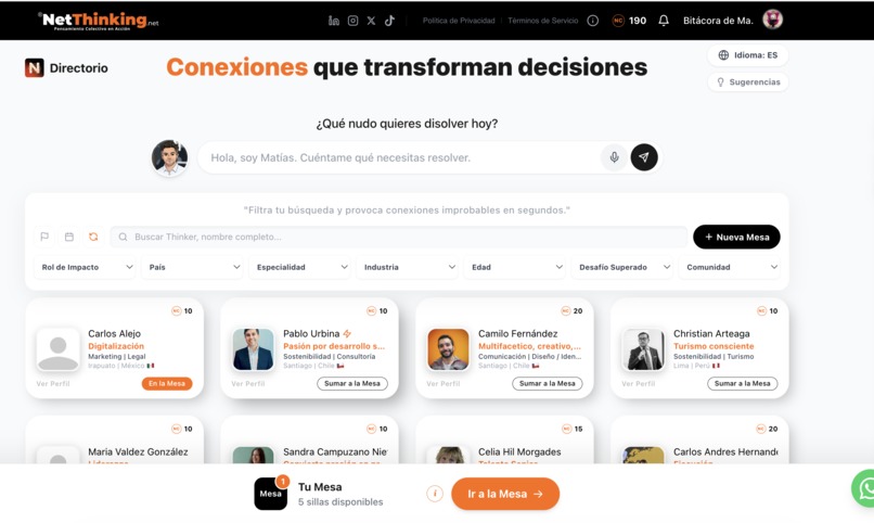 NetThinking – screenshot 2