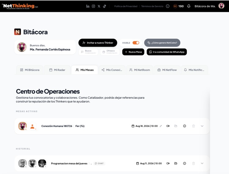 NetThinking – screenshot 4