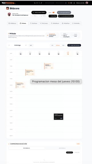 NetThinking – screenshot 5