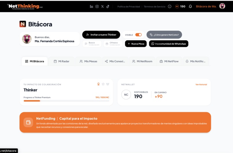 NetThinking – screenshot 6