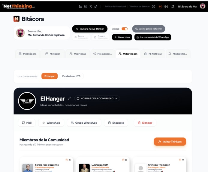 NetThinking – screenshot 7