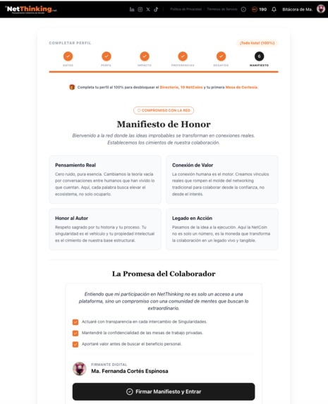 NetThinking – screenshot 8