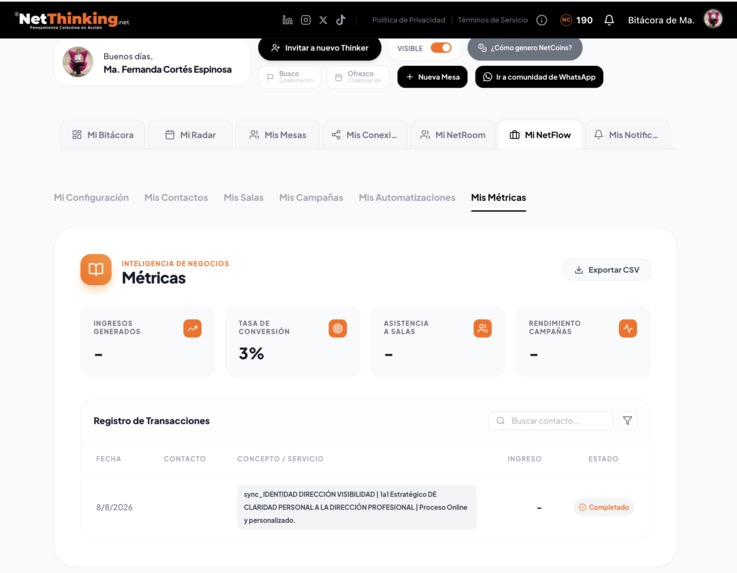 NetThinking – screenshot 14
