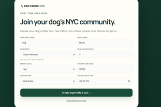 Paw Patrol NYC