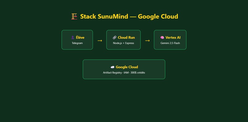 SunuMind — AI-Native Socratic Tutor for Senegal – screenshot 4