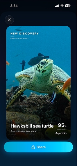 AquaGo Explorer – screenshot 8