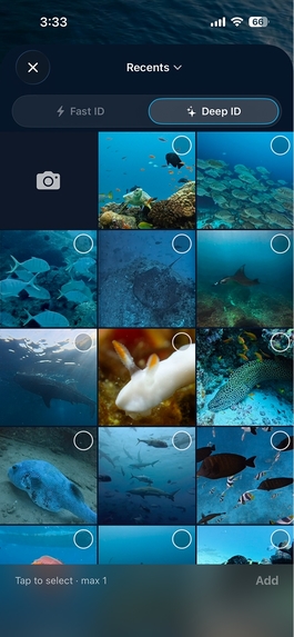 AquaGo Explorer – screenshot 4