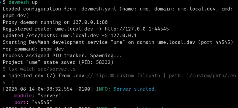 Devmesh – screenshot 1