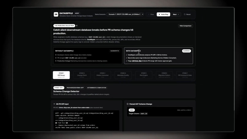 Dataripple – screenshot 1
