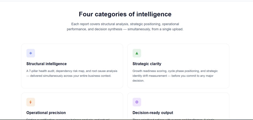 Tech Rasa Intelligence - AI Business Diagnostic – screenshot 1