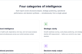 Tech Rasa Intelligence - AI Business Diagnostic