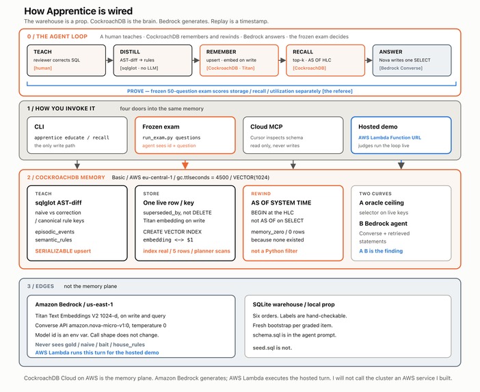Apprentice — memory that helps, then hurts – screenshot 3