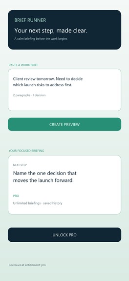 BriefRunner Mobile – screenshot 2