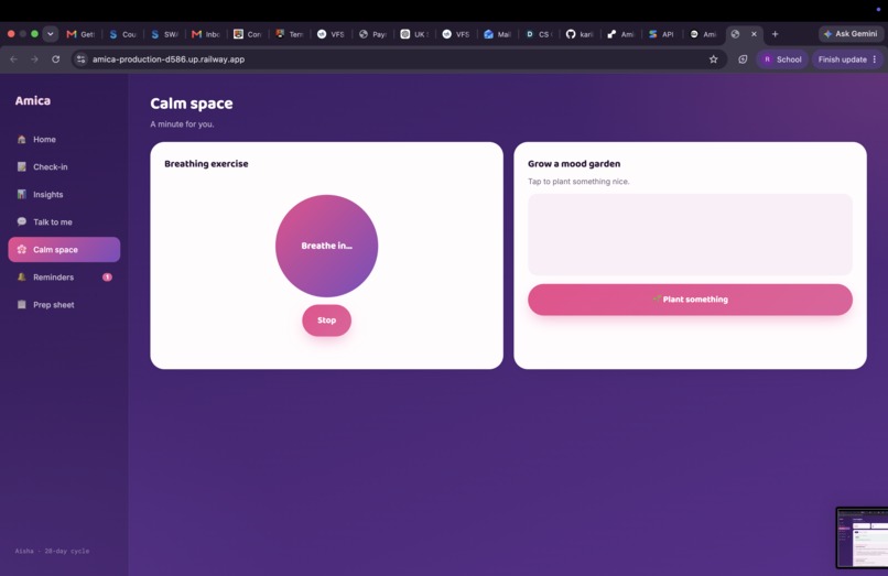 Amica – screenshot 7