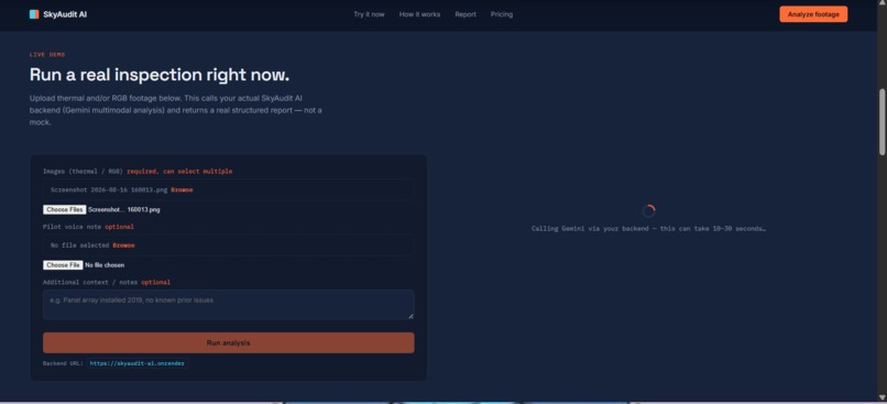 SkyAudit AI – screenshot 3