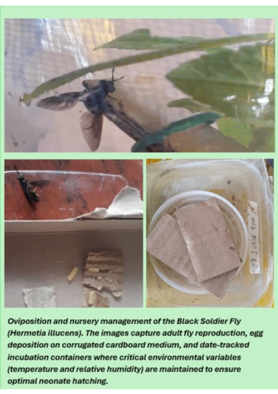BioSustain Data-Manager – screenshot 2