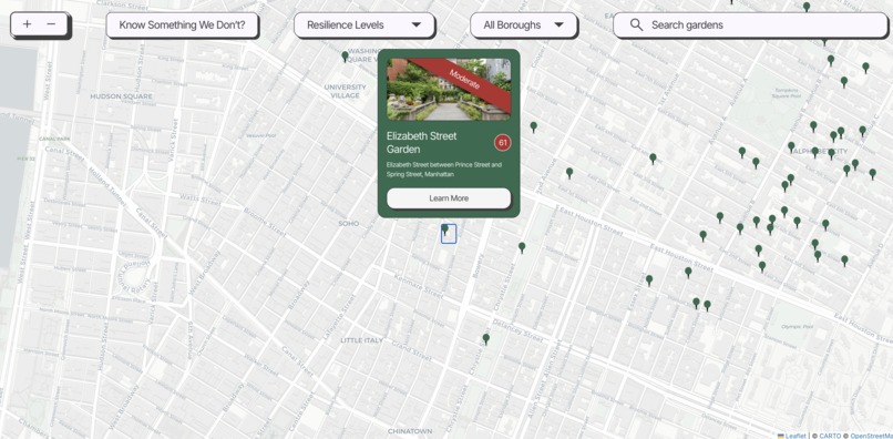 Rooted NYC – screenshot 2
