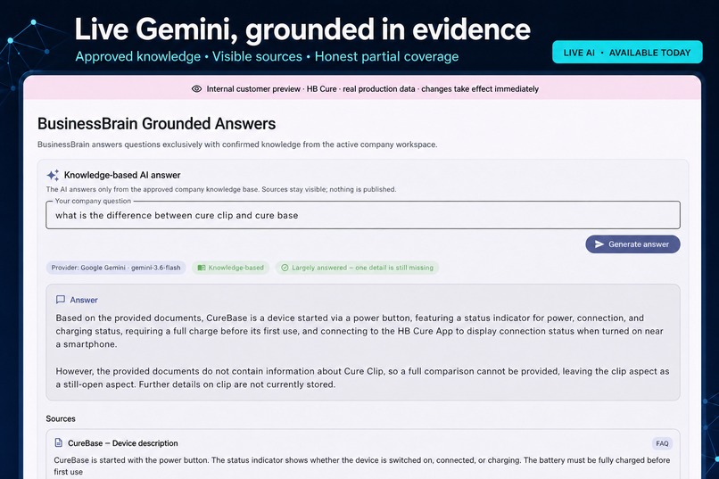     BusinessBrain – screenshot 3