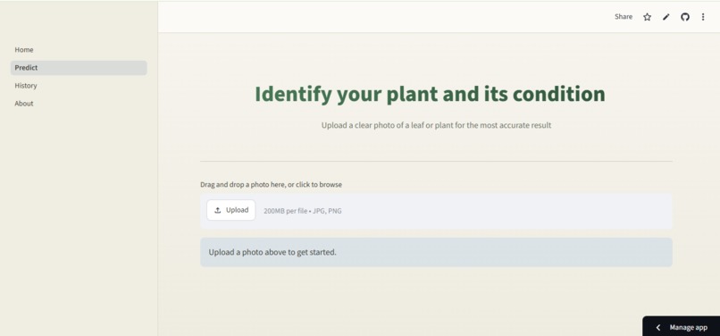 plant disease classification – screenshot 5