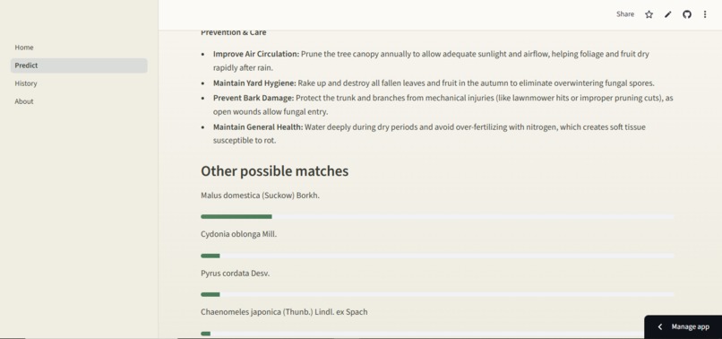 plant disease classification – screenshot 9