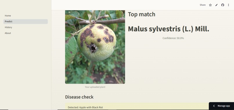 plant disease classification – screenshot 11